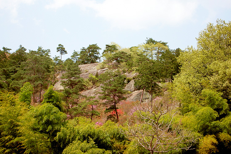 白砂公園